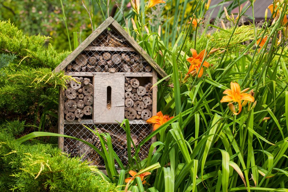 biodiversité au jardin
