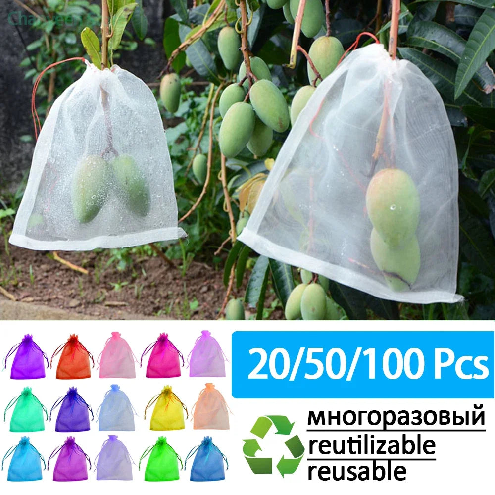 50/100pcs Grapes Grow Bags Fruit Plant Protection Netting Mesh for Strawberry Vegetable Gift Organza Bags Anti-Bird Garden Tools