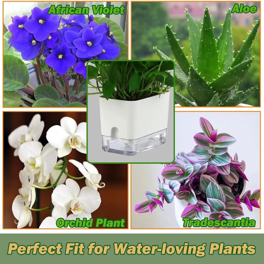 2PCS Self Watering Planters for Indoor Plants Windowsill Herb Planter Box Automatic Moisturizing Pots For Succulents Violets Ivy