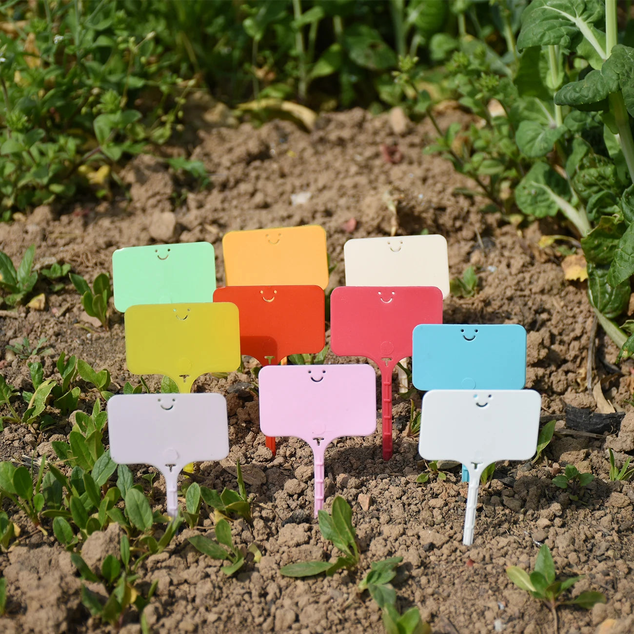 30-100pcs Garden Re-usable Plant Labels Waterproof T-type Sign Tags Plastic Markers Record Plate Flower Vegetables Potted Stakes