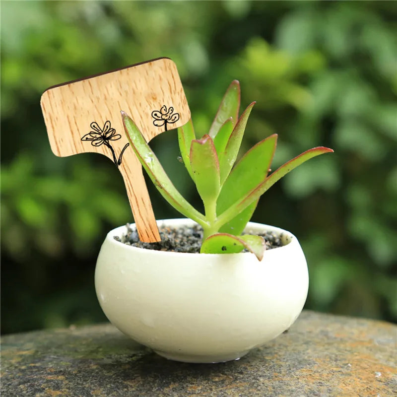 5/10/20/30PCS T-Type Bamboo Plant Labels Eco-Friendly Wooden Plant Sign Tags Garden Markers for Bonsai Seed Potted Herbs Flowers