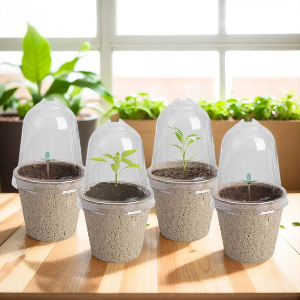 10pcs Garden Round Peat Pots Plant Seedling Starters Cups Nursery Herb Seed Tray Planting Tools Eco-friendly Biodegradable