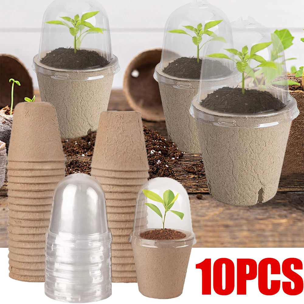 10pcs Garden Round Peat Pots Plant Seedling Starters Cups Nursery Herb Seed Tray Planting Tools Eco-friendly Biodegradable