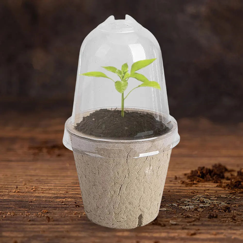 10pcs Garden Round Peat Pots Plant Seedling Starters Cups Nursery Herb Seed Tray Planting Tools Eco-friendly Biodegradable