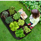 Carre potager surélevé