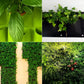 Potager vertical extérieur