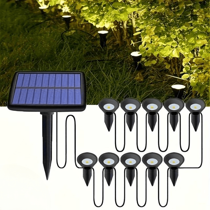 Lampes de Pelouse Solaires Ultra-Lumineuses (Lot de 8 + 2 Offertes)